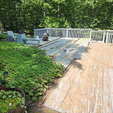 Hardwood Deck Restoration: When to Restore vs. Replace Boards